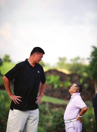 王者木兰的 王者木兰的