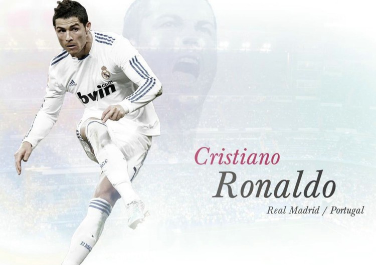 种沉稳且高 种沉稳且高