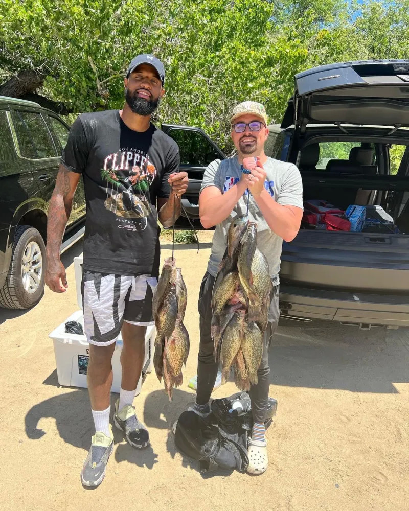 灰熊等队伍 灰熊等队伍