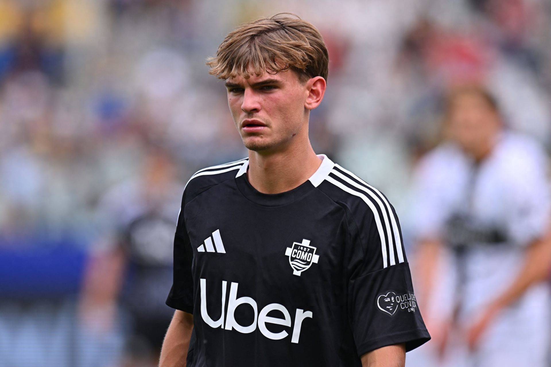 适应能力也 适应能力也